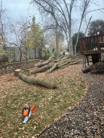 Professional Landscape Services