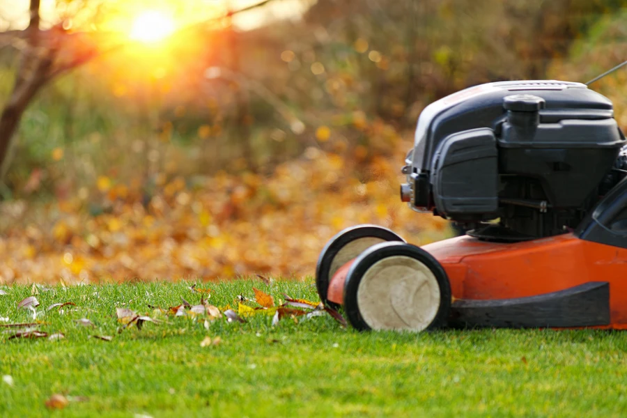 How Lawn Care Services Help Manage Pest Control Effectively in West Concord MN