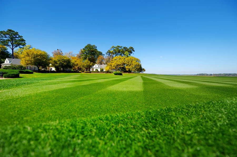 What To Expect From Professional Lawn Care Services in West Concord MN